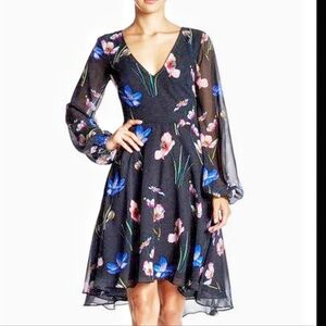Betsy Johnson Fit and Flare Hi/Low Dress